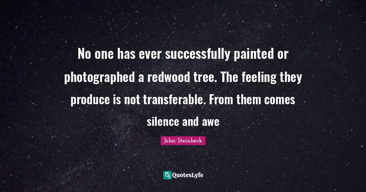 John Steinbeck Quotes: "No one has ever successfully painted or photographed a redwood tree. The feeling they produce is not transferable. From them comes silence and awe"