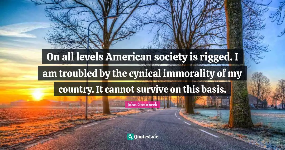 On all levels American society is rigged. I am troubled by the cynical immorality of my country. It cannot survive on this basis.
