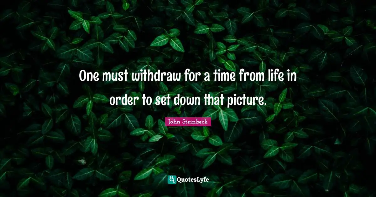 One must withdraw for a time from life in order to set down that picture.