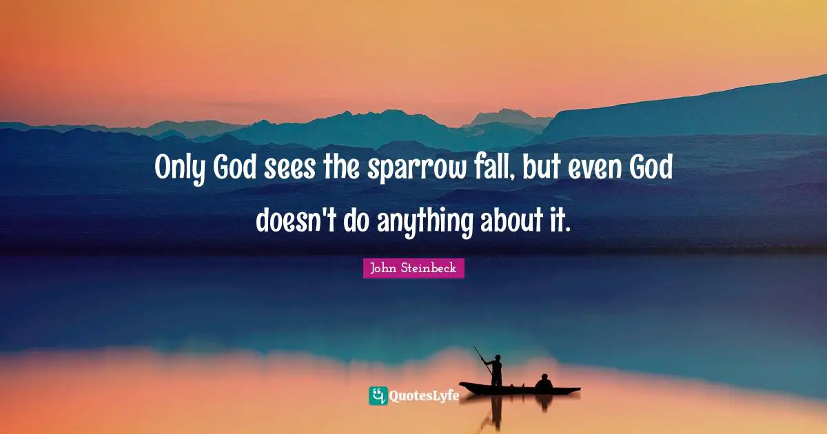 Only God sees the sparrow fall, but even God doesn't do anything about it.