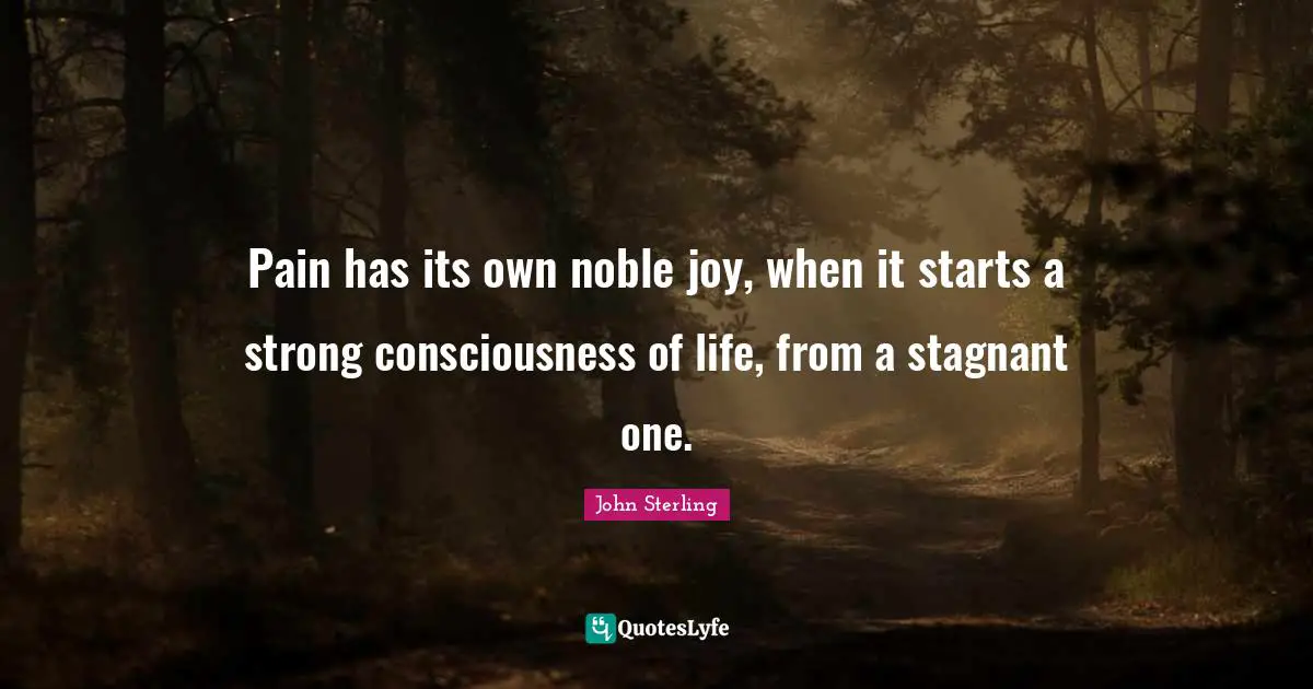 Pain has its own noble joy, when it starts a strong consciousness of life, from a stagnant one.