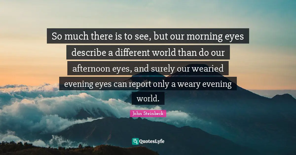 So much there is to see, but our morning eyes describe a different world than do our afternoon eyes, and surely our wearied evening eyes can report only a weary evening world.