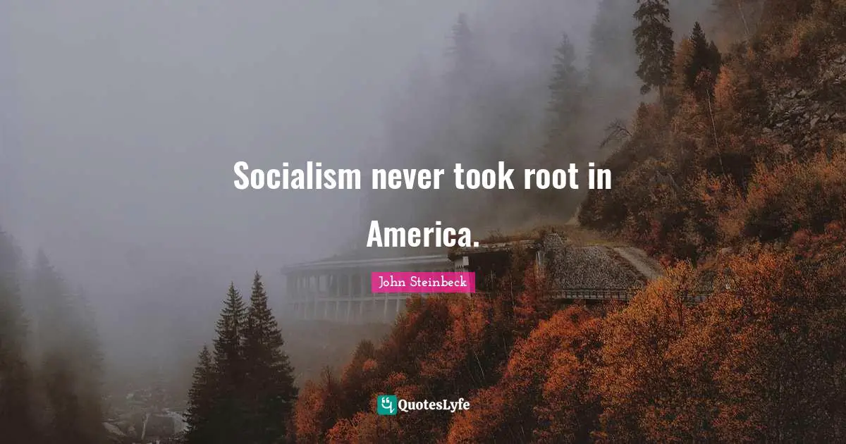 Socialism never took root in America.