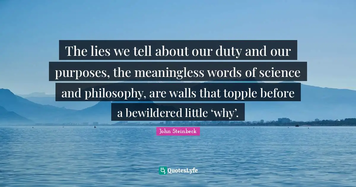 The lies we tell about our duty and our purposes, the meaningless words of science and philosophy, are walls that topple before a bewildered little ‘why’.