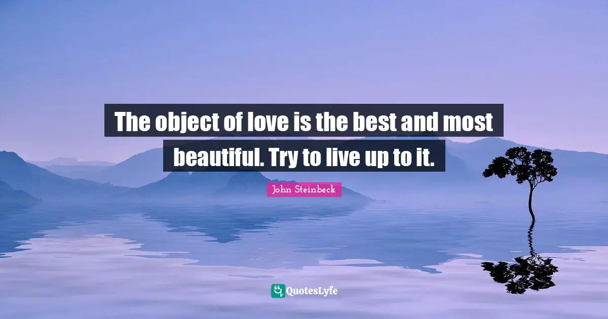 The object of love is the best and most beautiful. Try to live up to it.