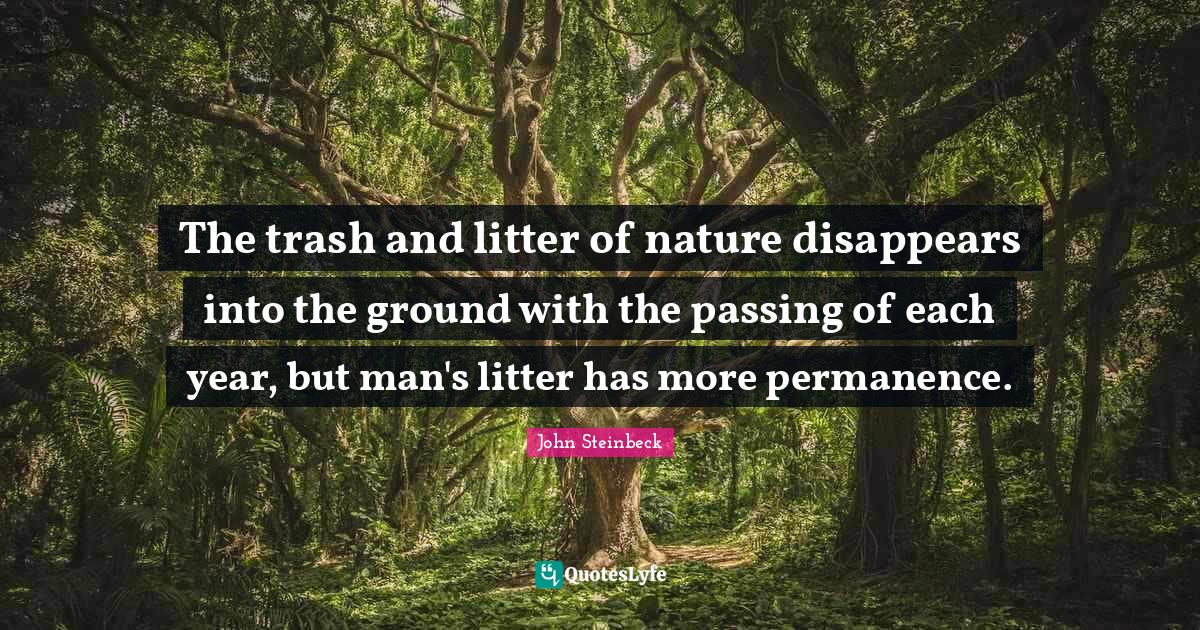The trash and litter of nature disappears into the ground with the pas