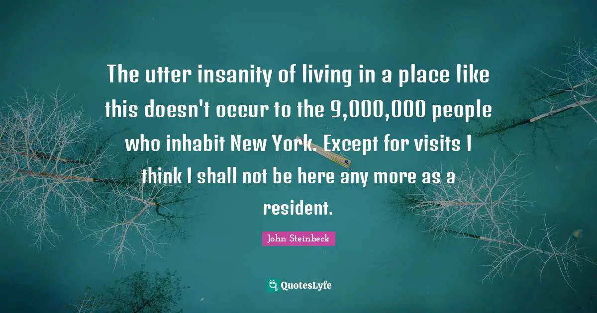 The utter insanity of living in a place like this doesn't occur to the 9,000,000 people who inhabit New York. Except for visits I think I shall not be here any more as a resident.