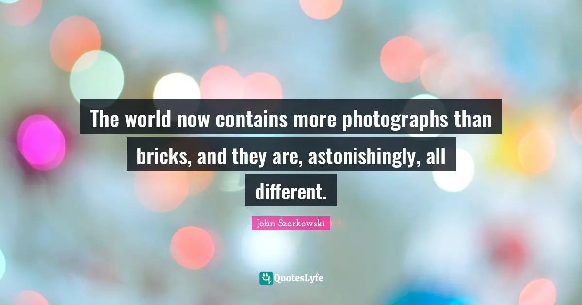 The world now contains more photographs than bricks, and they are, astonishingly, all different.