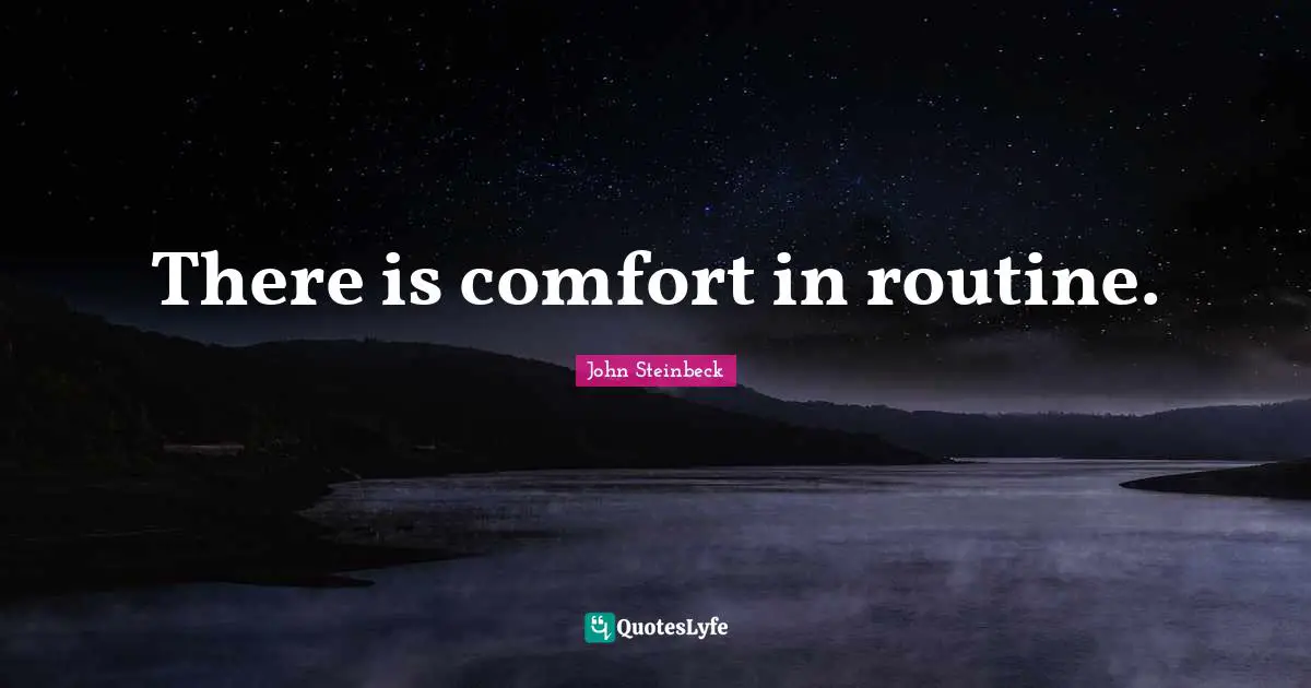 There is comfort in routine.