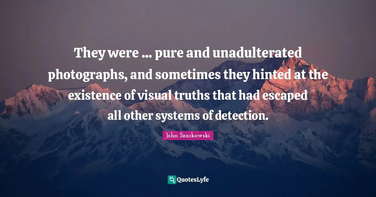 They were ... pure and unadulterated photographs, and sometimes they hinted at the existence of visual truths that had escaped all other systems of detection.