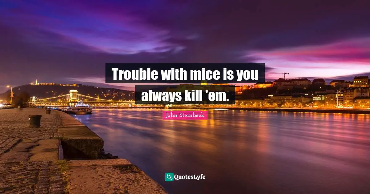 Trouble with mice is you always kill 'em.