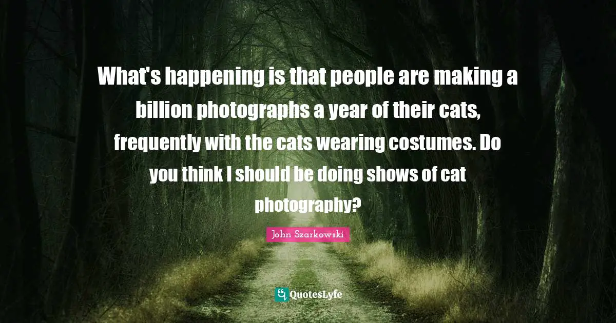 What's happening is that people are making a billion photographs a year of their cats, frequently with the cats wearing costumes. Do you think I should be doing shows of cat photography?