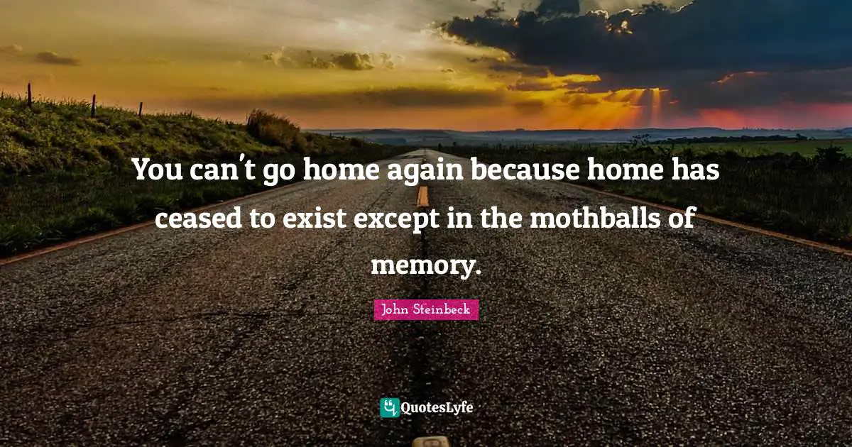 You can't go home again because home has ceased to exist except in the mothballs of memory.