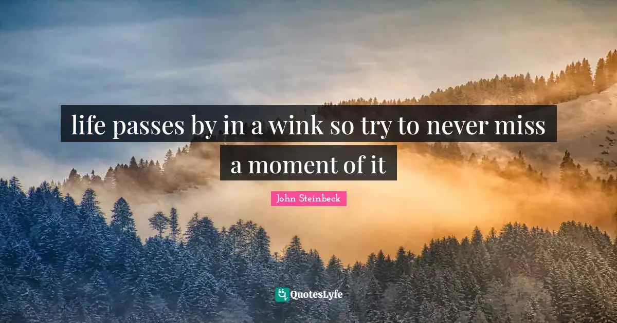 life passes by in a wink so try to never miss a moment of it