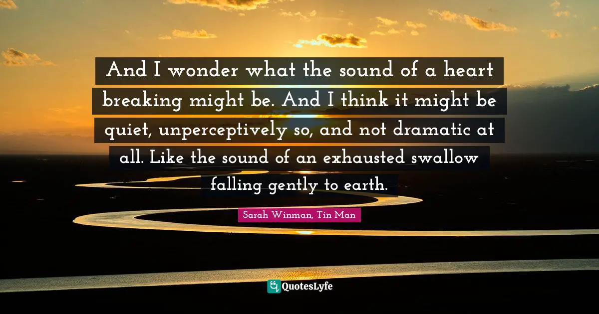 And I wonder what the sound of a heart breaking might be. And I think it might be quiet, unperceptively so, and not dramatic at all. Like the sound of an exhausted swallow falling gently to earth.