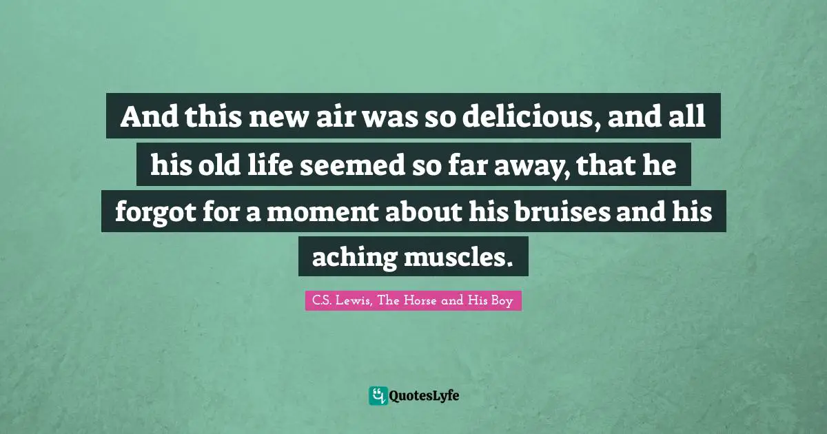 And this new air was so delicious, and all his old life seemed so far away, that he forgot for a moment about his bruises and his aching muscles.