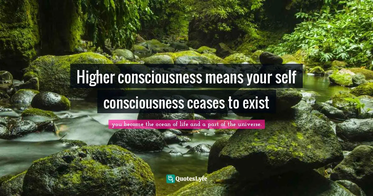 Higher consciousness means your self consciousness ceases to exist