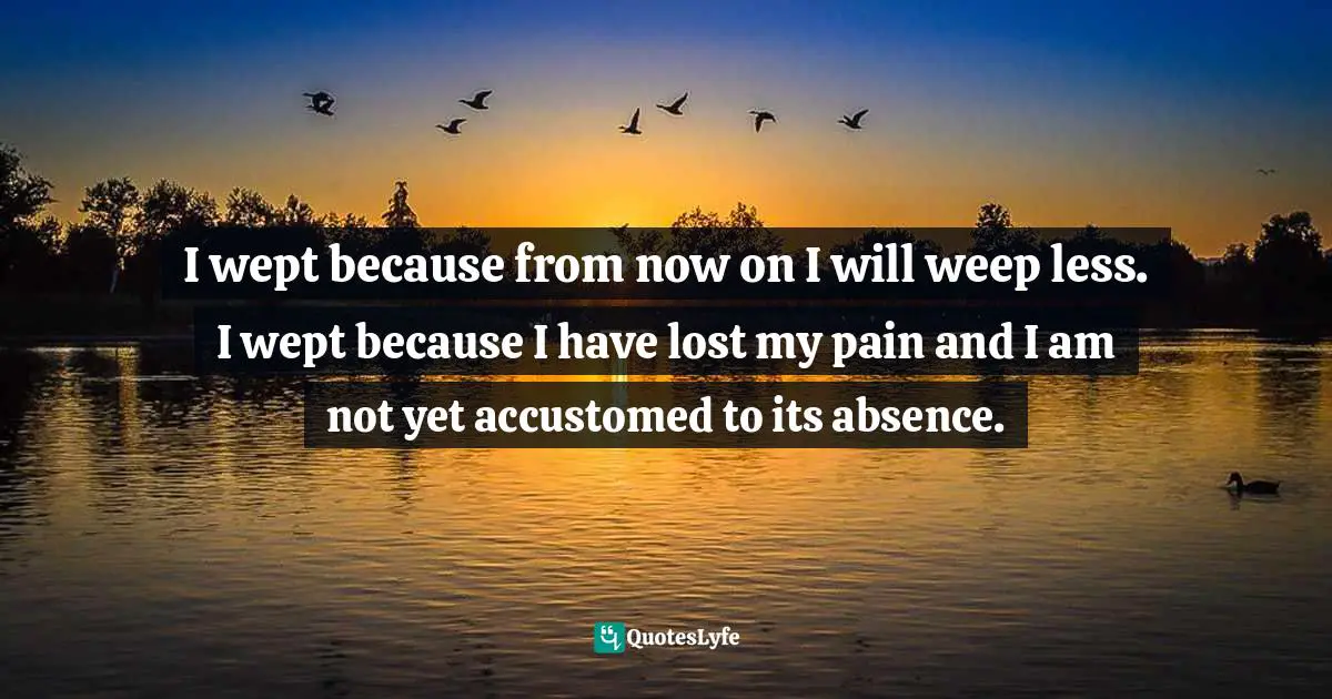 I wept because from now on I will weep less. I wept because I have lost my pain and I am not yet accustomed to its absence.