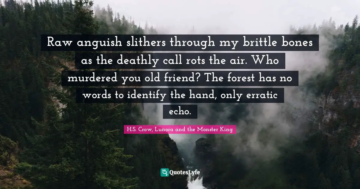 Raw anguish slithers through my brittle bones as the deathly call rots the air. Who murdered you old friend? The forest has no words to identify the hand, only erratic echo.