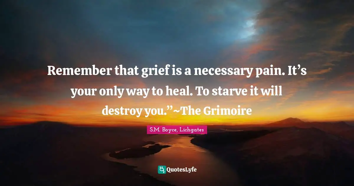 Remember that grief is a necessary pain. It’s your only way to heal. To starve it will destroy you.”~The Grimoire