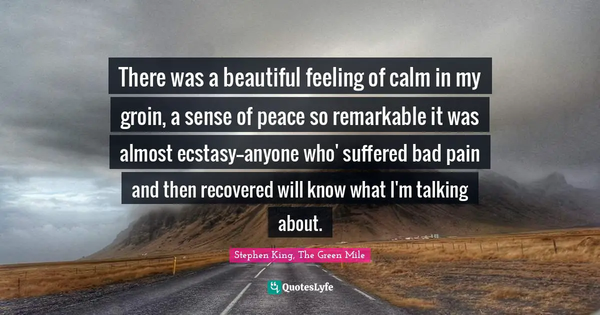 There was a beautiful feeling of calm in my groin, a sense of peace so remarkable it was almost ecstasy——anyone who' suffered bad pain and then recovered will know what I'm talking about.