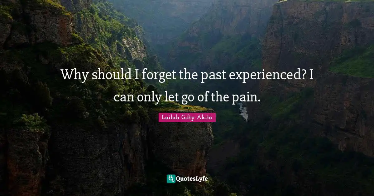 Why should I forget the past experienced? I can only let go of the pain.
