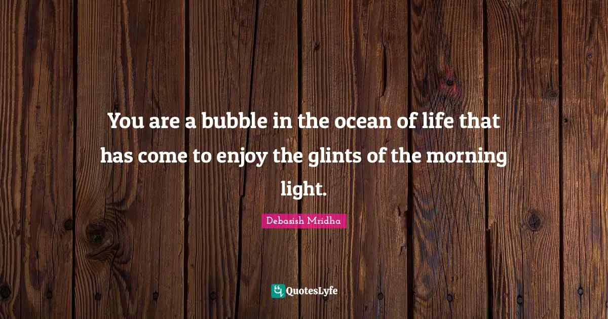 You are a bubble in the ocean of life that has come to enjoy the glints of the morning light.