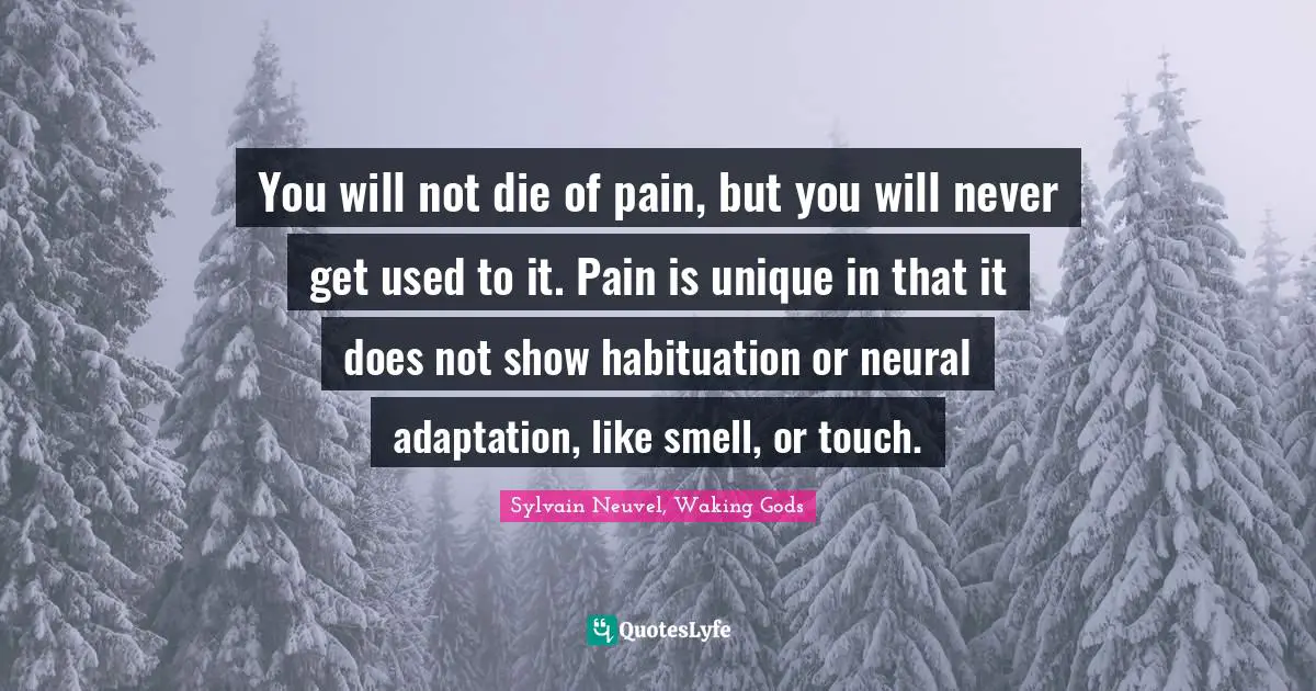 You will not die of pain, but you will never get used to it. Pain is unique in that it does not show habituation or neural adaptation, like smell, or touch.