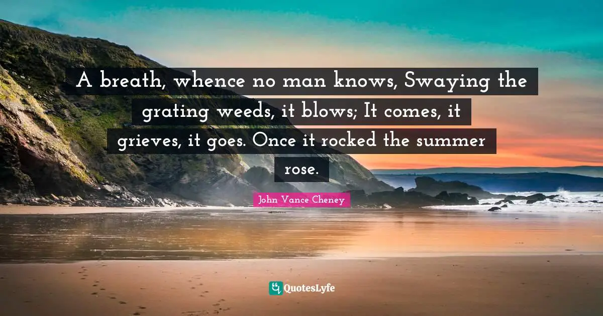 Rose Quotes: "A breath, whence no man knows, Swaying the grating weeds, it blows; It comes, it grieves, it goes. Once it rocked the summer rose."