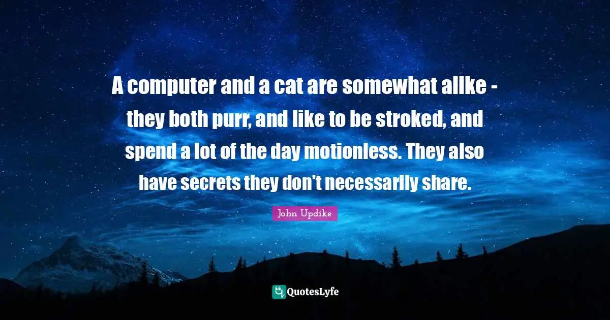 A computer and a cat are somewhat alike - they both purr, and like to be stroked, and spend a lot of the day motionless. They also have secrets they don't necessarily share.