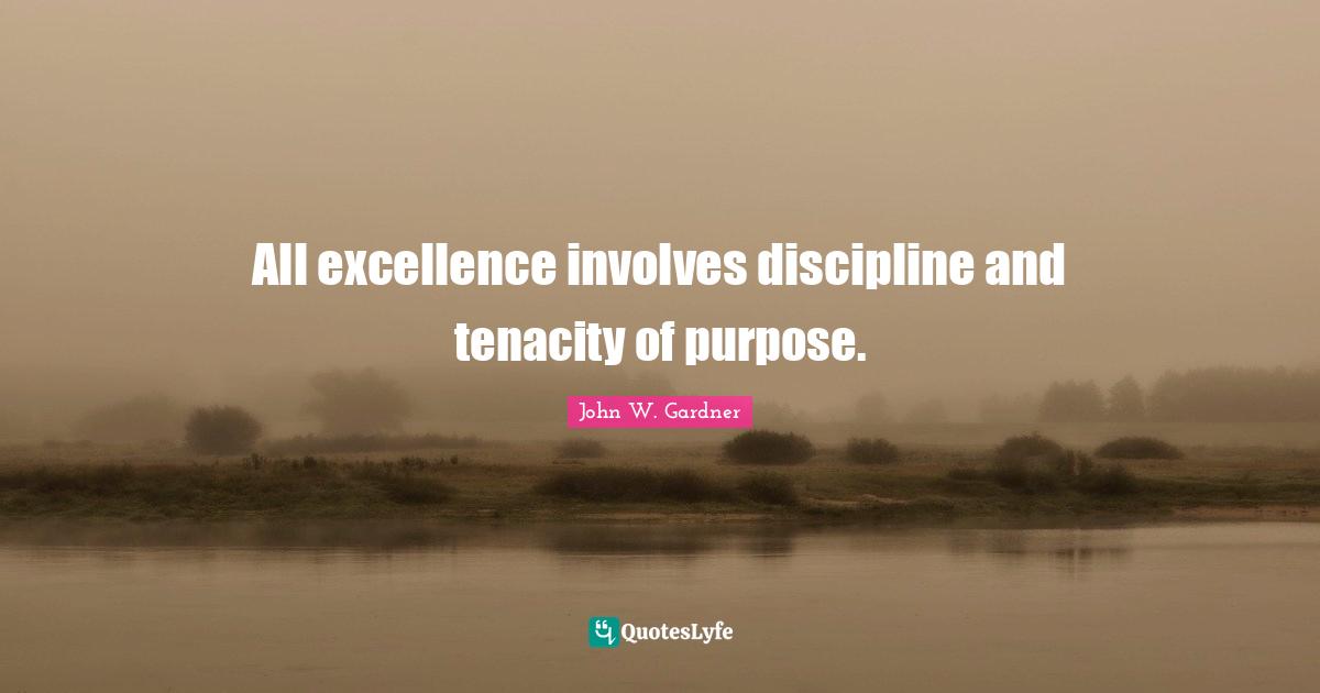 John W. Gardner Quotes: "All excellence involves discipline and tenacity of purpose."