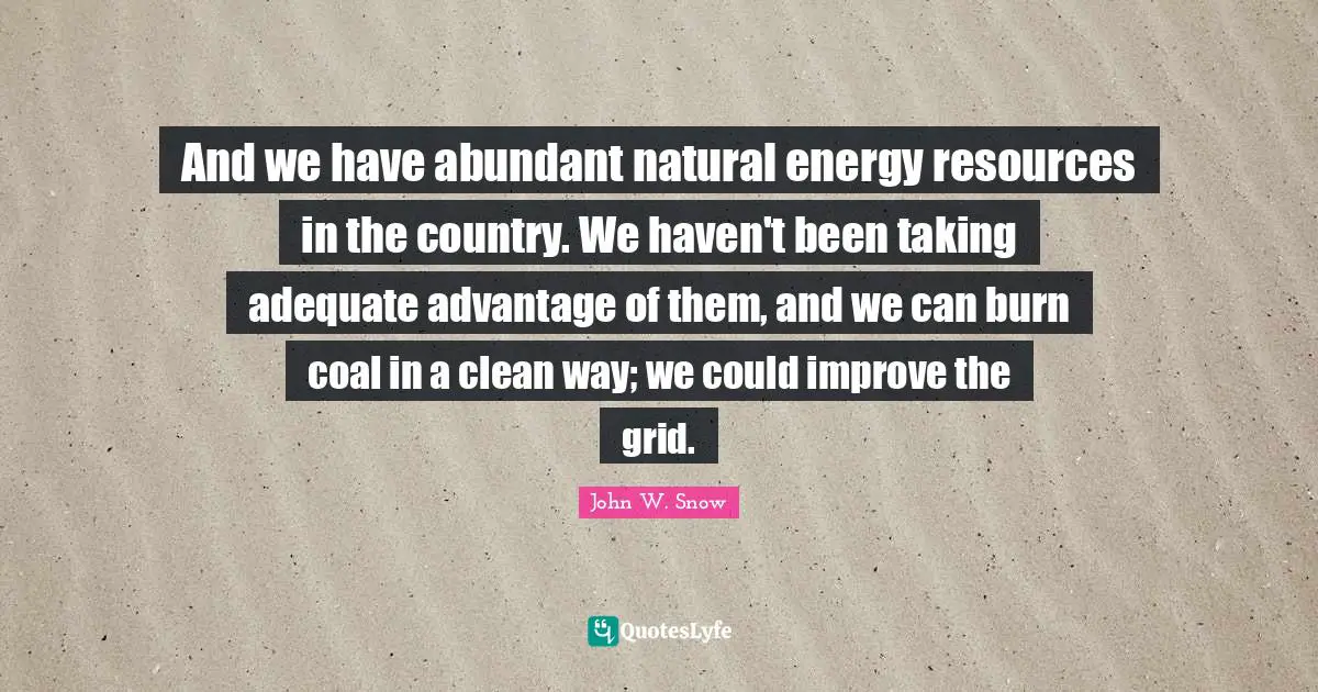 John W. Snow Quotes: And we have abundant natural energy resources in the country. We haven't been taking adequate advantage of them, and we can burn coal in a clean way; we could improve the grid.