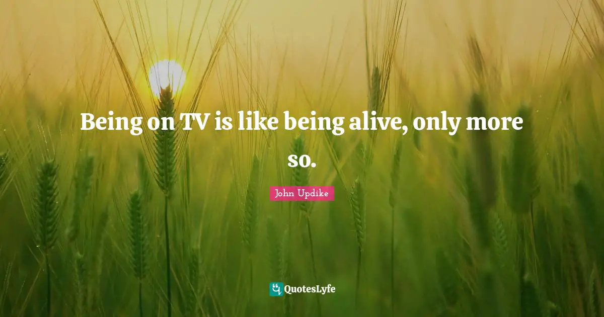 Being on TV is like being alive, only more so.