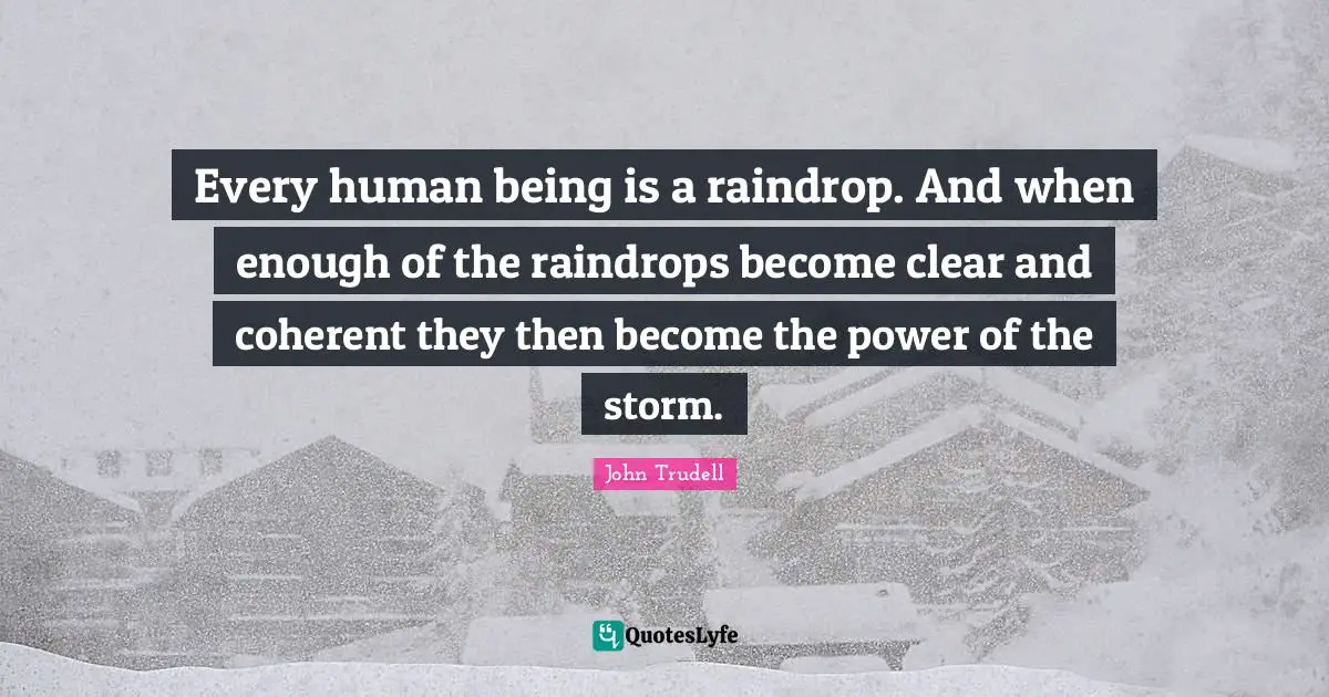 John Trudell Quotes: Every human being is a raindrop. And when enough of the raindrops become clear and coherent they then become the power of the storm.