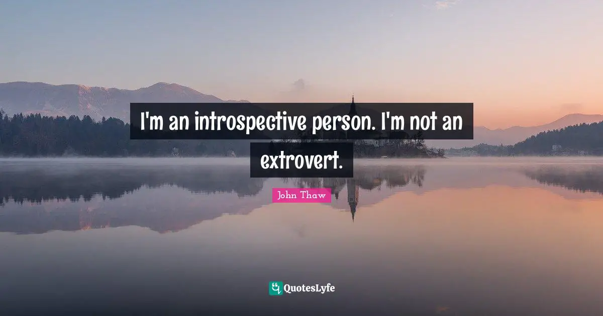 I'm an introspective person. I'm not an extrovert.