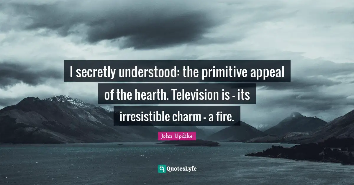 I secretly understood: the primitive appeal of the hearth. Television is - its irresistible charm - a fire.