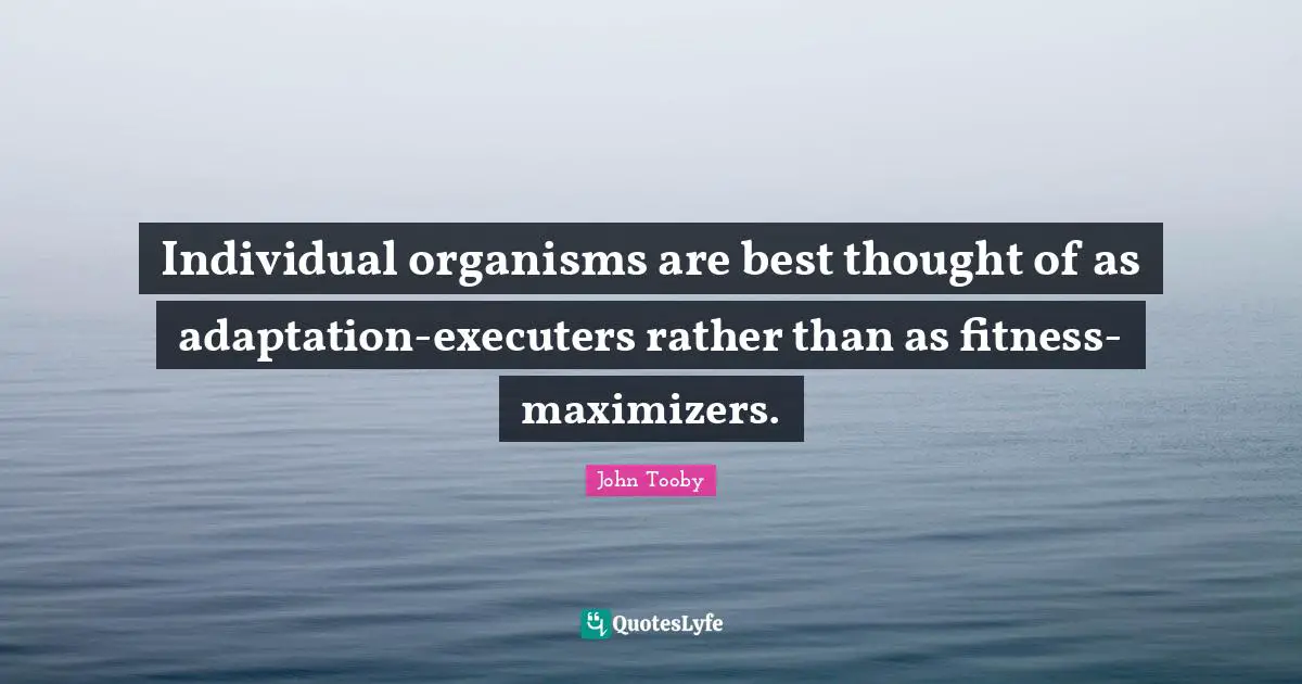 Individual organisms are best thought of as adaptation-executers rather than as fitness-maximizers.