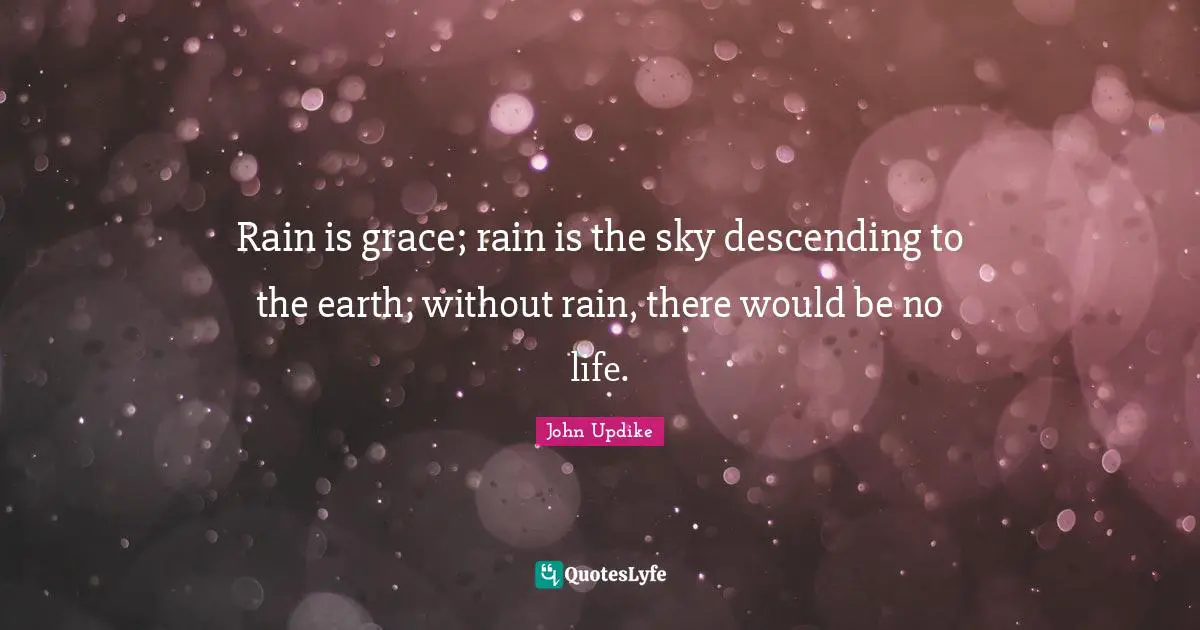Rain Quotes: "Rain is grace; rain is the sky descending to the earth; without rain, there would be no life."