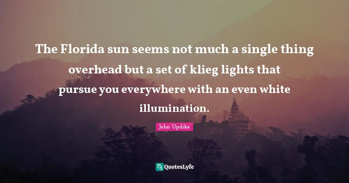 The Florida sun seems not much a single thing overhead but a set of klieg lights that pursue you everywhere with an even white illumination.