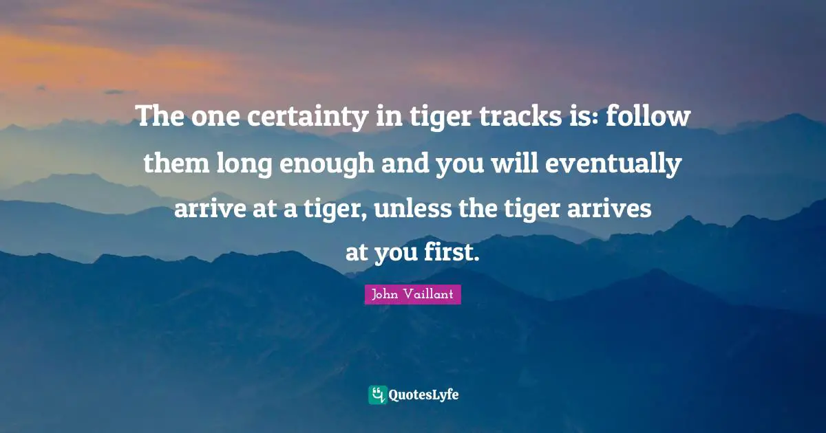 The one certainty in tiger tracks is: follow them long enough and you will eventually arrive at a tiger, unless the tiger arrives at you first.