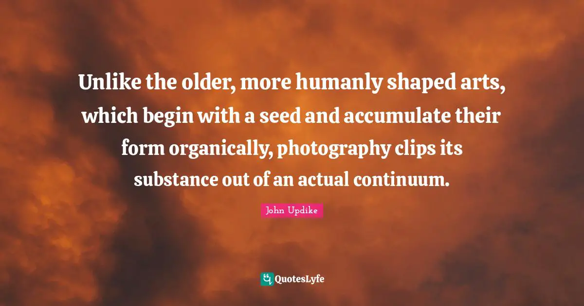 Unlike the older, more humanly shaped arts, which begin with a seed and accumulate their form organically, photography clips its substance out of an actual continuum.