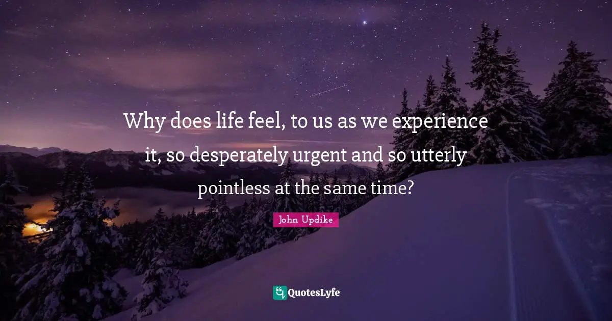 Why does life feel, to us as we experience it, so desperately urgent and so utterly pointless at the same time?