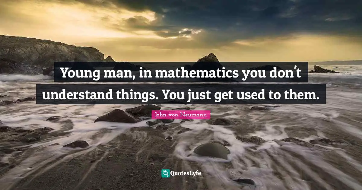 Young Quotes: "Young man, in mathematics you don't understand things. You just get used to them."