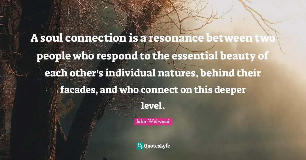 A soul connection is a resonance between two people who respond to the essential beauty of each other's individual natures, behind their facades, and who connect on this deeper level.