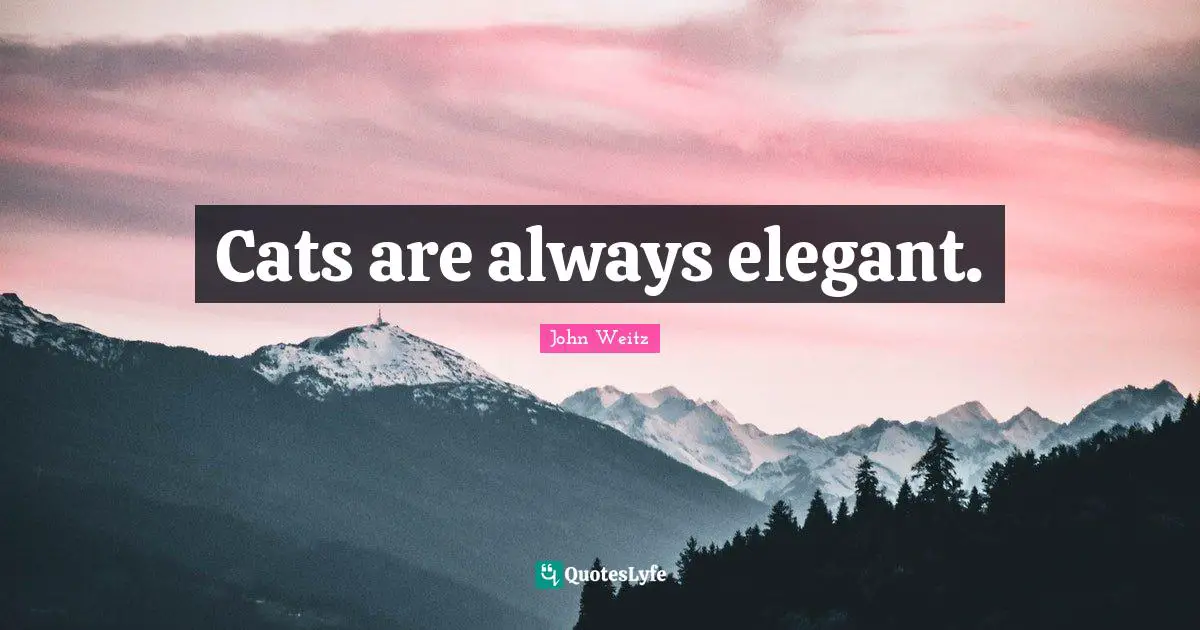 Cats are always elegant.