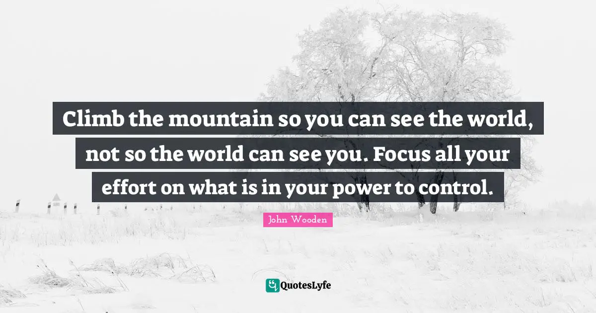 Climb the mountain so you can see the world, not so the world can see you. Focus all your effort on what is in your power to control.