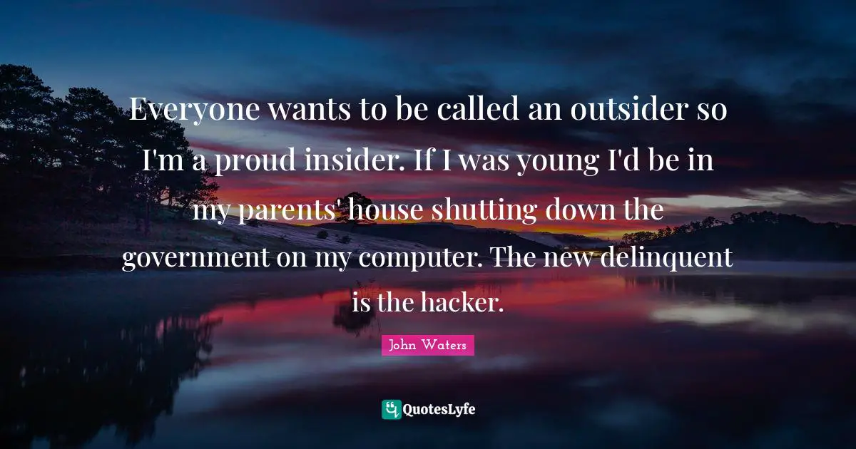 Everyone wants to be called an outsider so I'm a proud insider. If I was young I'd be in my parents' house shutting down the government on my computer. The new delinquent is the hacker.
