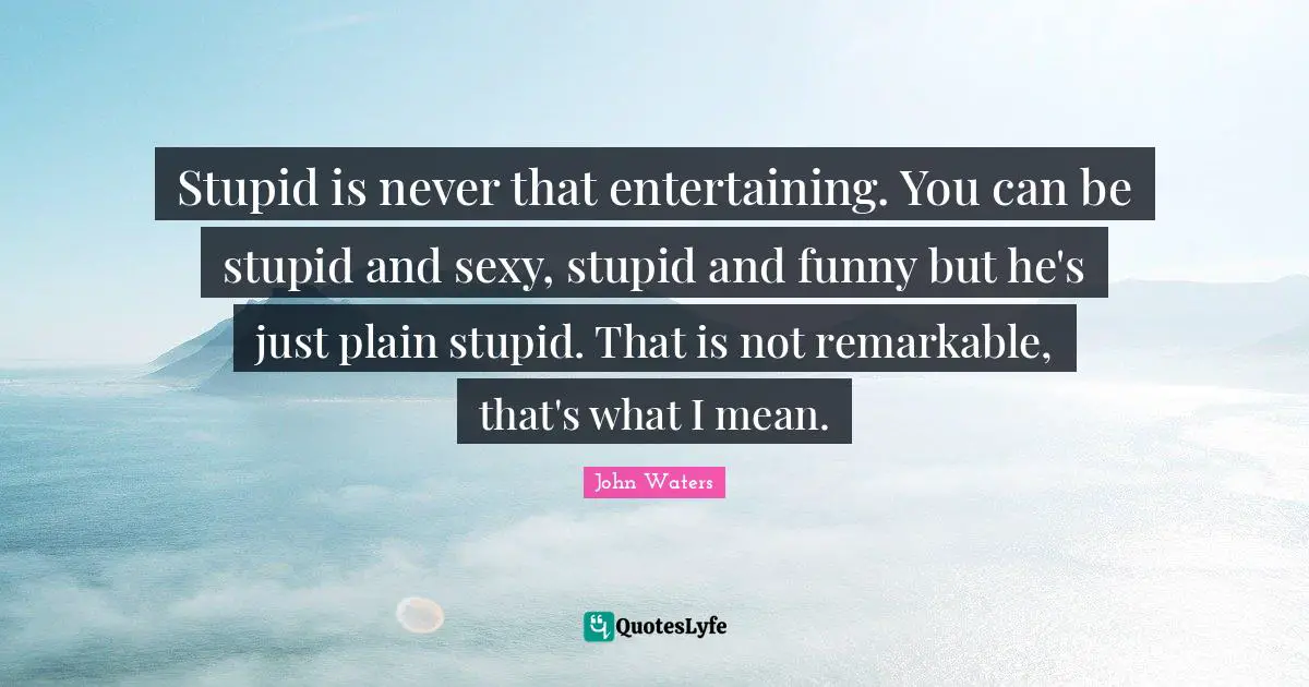 Stupid is never that entertaining. You can be stupid and sexy, stupid and funny but he's just plain stupid. That is not remarkable, that's what I mean.
