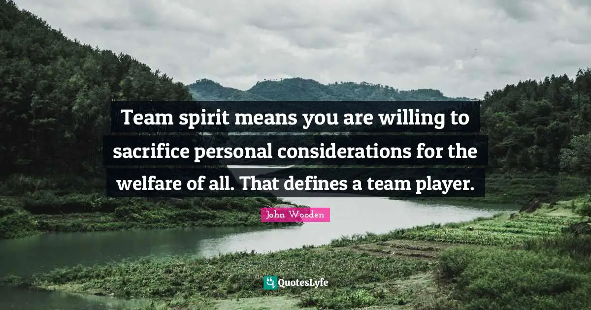 Team spirit means you are willing to sacrifice personal considerations for the welfare of all. That defines a team player.