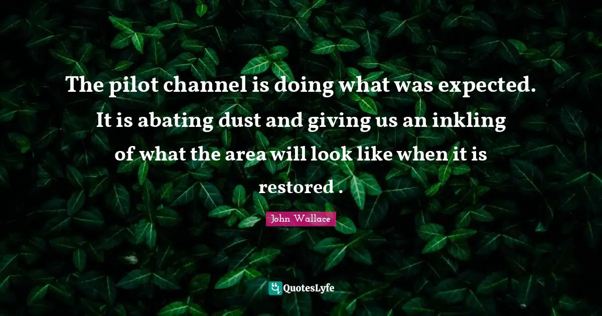 The pilot channel is doing what was expected. It is abating dust and giving us an inkling of what the area will look like when it is restored .